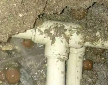 金牛测漏水多少钱