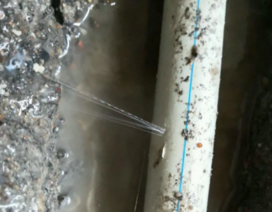 金牛测漏水哪家好