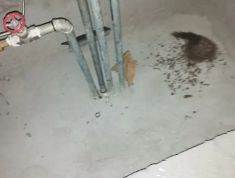 金牛卫生间测漏水价格明细