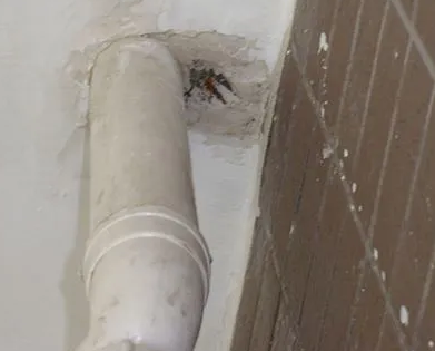 金牛漏水检测哪家好